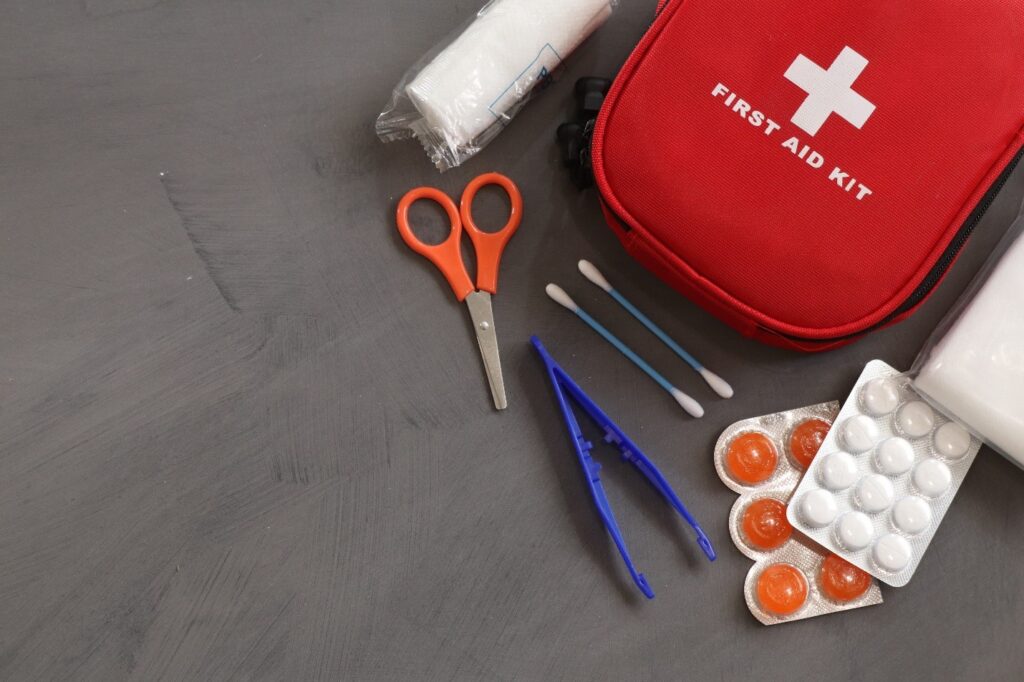 9 essential inclusions for hunting and camping dog first aid kit